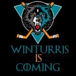 WinTurris Coming logo